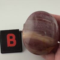 Petrified Wood Palm Stones