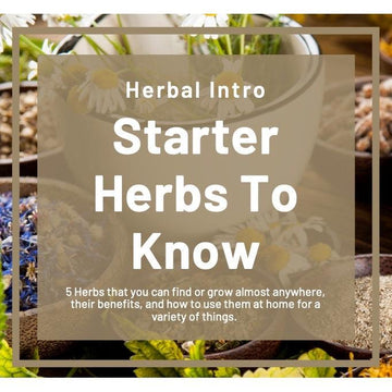 Herbal Intro - Starter Herbs to Know eBook-Earth Fairy Holistics